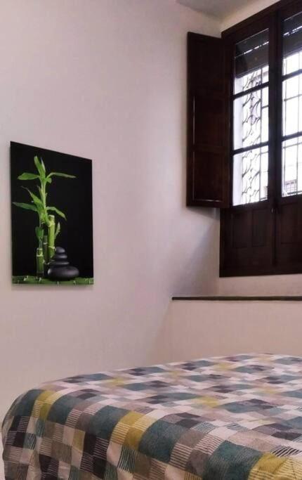 Disfruta De La Historica Cordoba Apartment Exterior photo